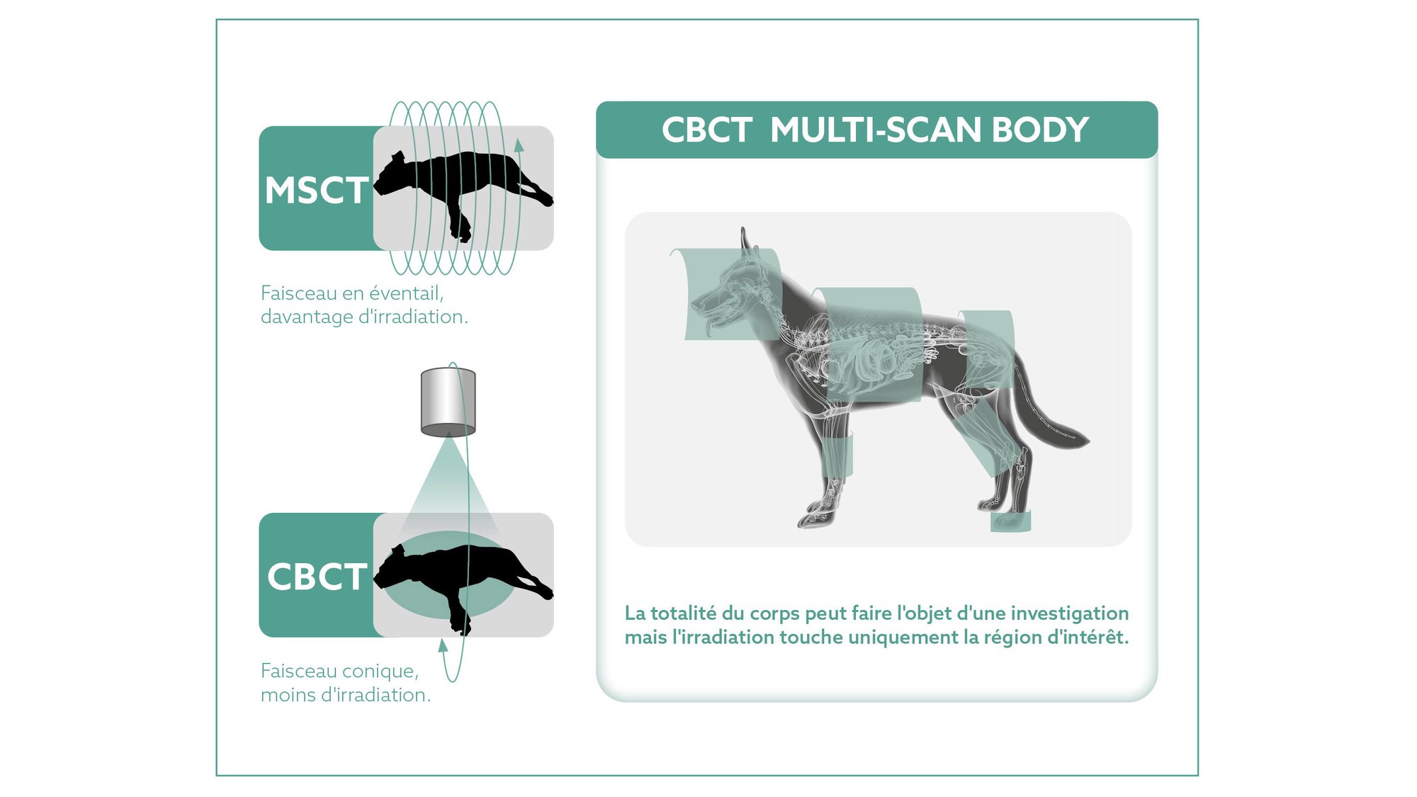 Funzionalita evolute VET_FR_1080x608 (1)