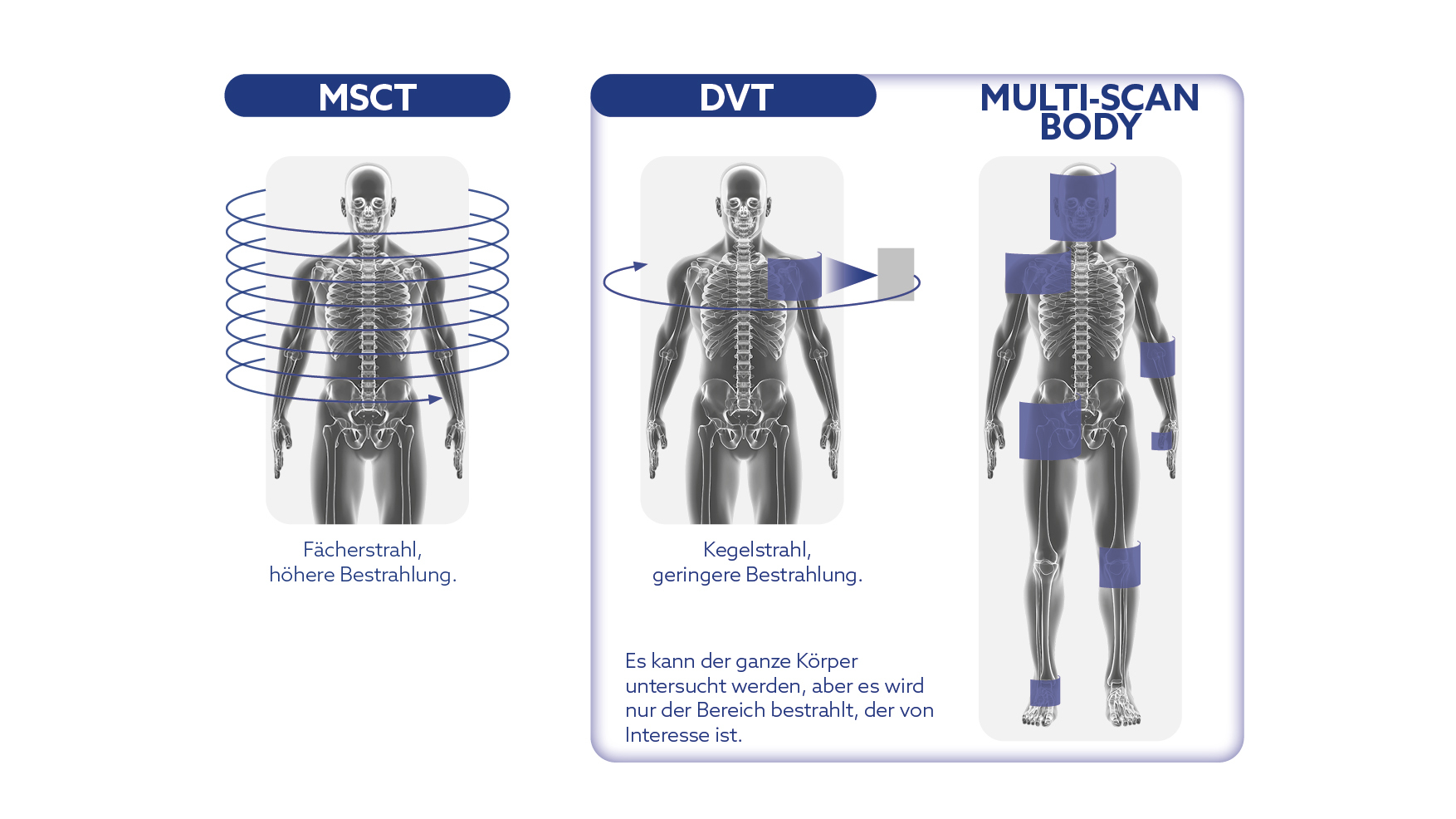 Funzionalita Evolute_TD