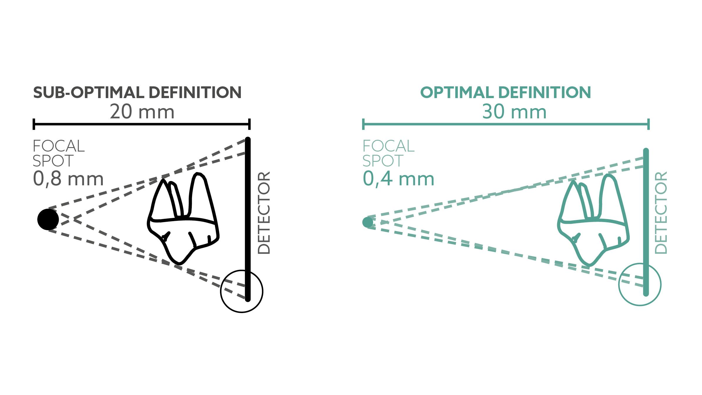 RX DC Vet Schema_GB 1080x608