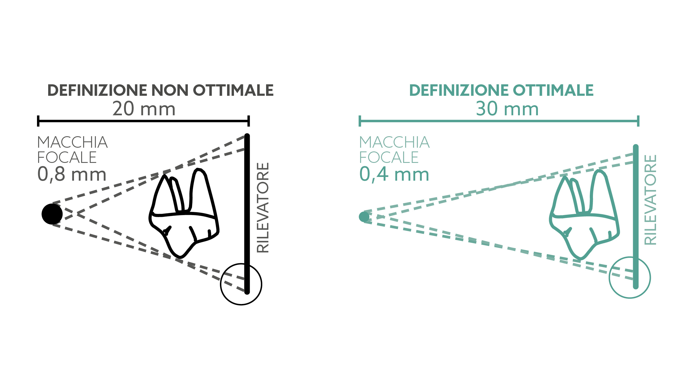 RX DC Vet Schema_IT 1080x608