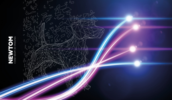 CBCT_veterinaria_Newtom